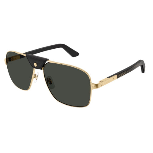 CARTIER - CT0389S-001