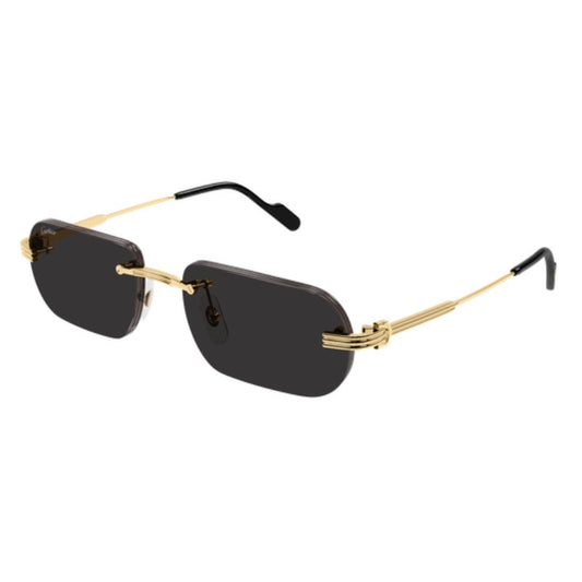 CARTIER - CT0577S-001