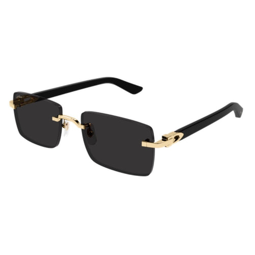 CARTIER - CT0579S-001