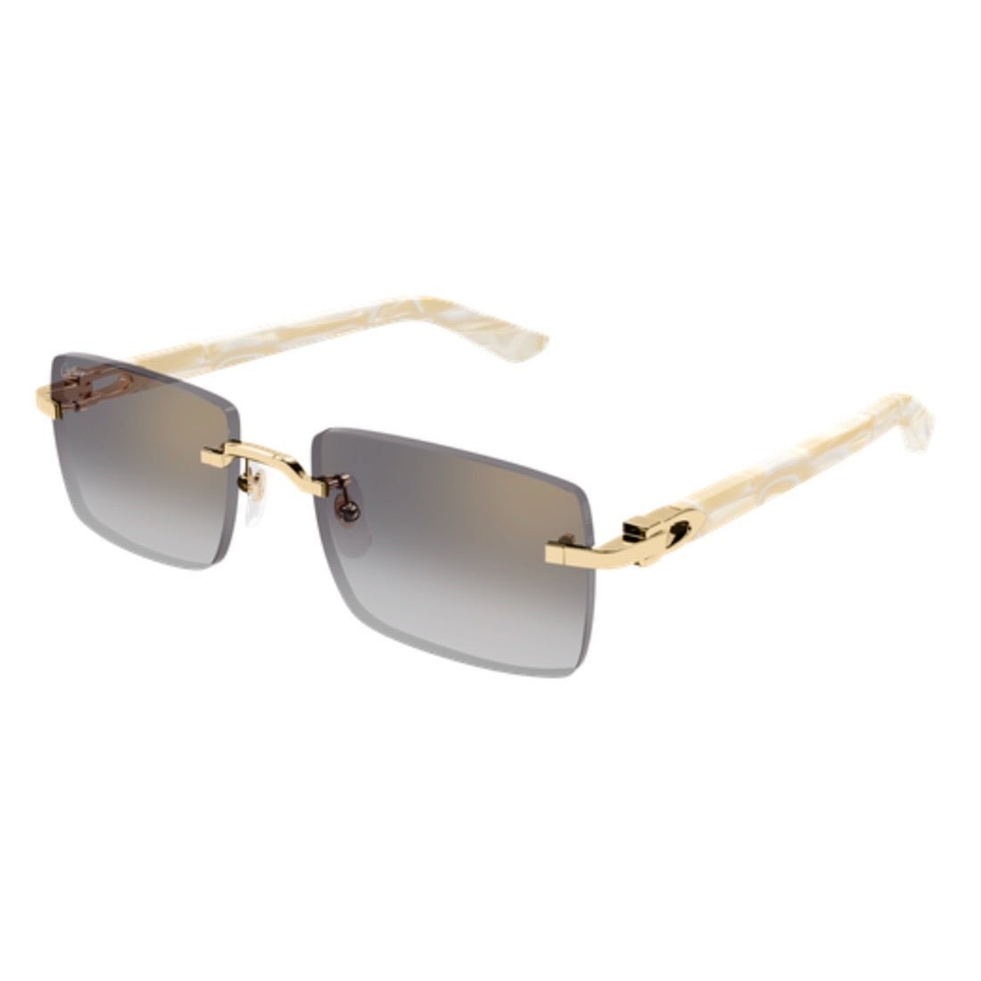 CARTIER - CT0579S-007