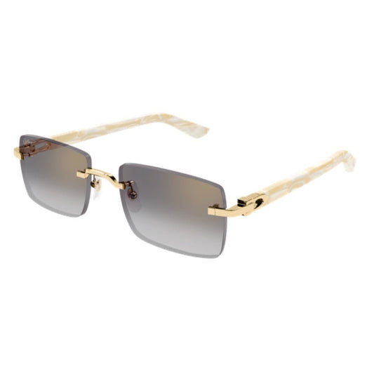 CARTIER - CT0579S-007