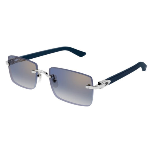 CARTIER - CT0579S-008