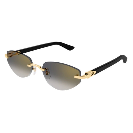 CARTIER - CT0580S-001