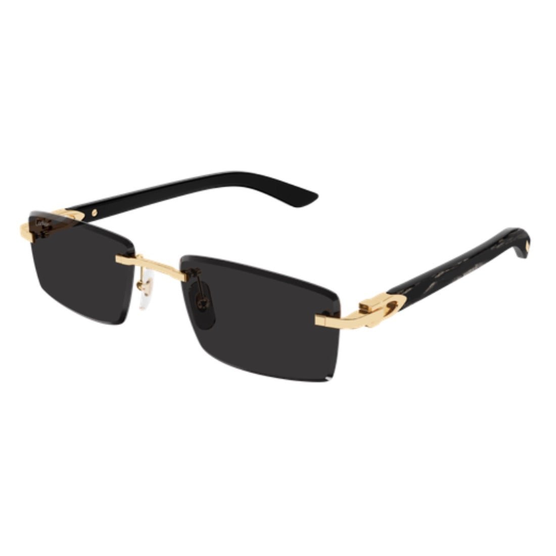 CARTIER - CT0582S-001