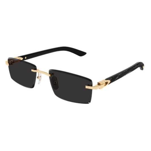 CARTIER - CT0582S-001