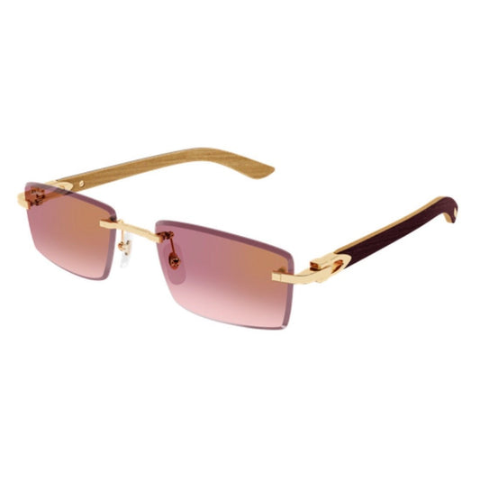 CARTIER - CT0582S-002