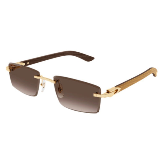 CARTIER - CT0582S-003