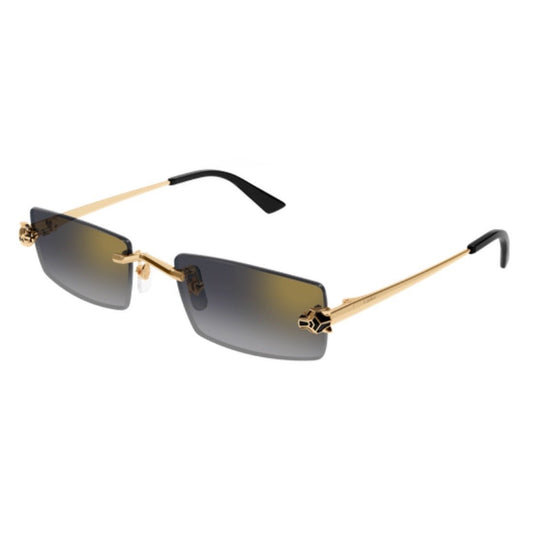 CARTIER - CT0598S-001