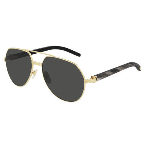 CARTIER - CT0272S-001