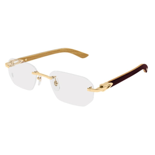 CARTIER - CT0583O-002
