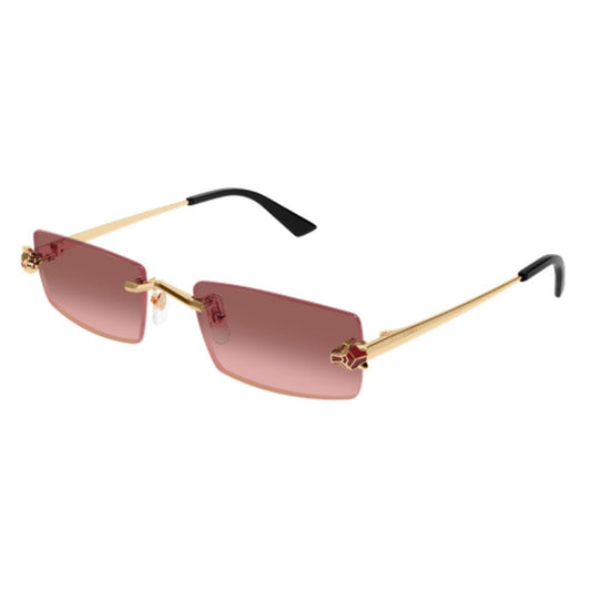CARTIER - CT0598S-004
